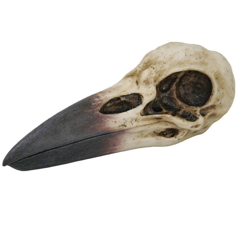 Raven Skull Box | Gothic Cold Cast Resin Box | Raven & Skull Keepsake