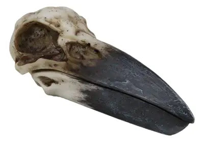 Raven Skull Box | Gothic Cold Cast Resin Box | Raven & Skull Keepsake