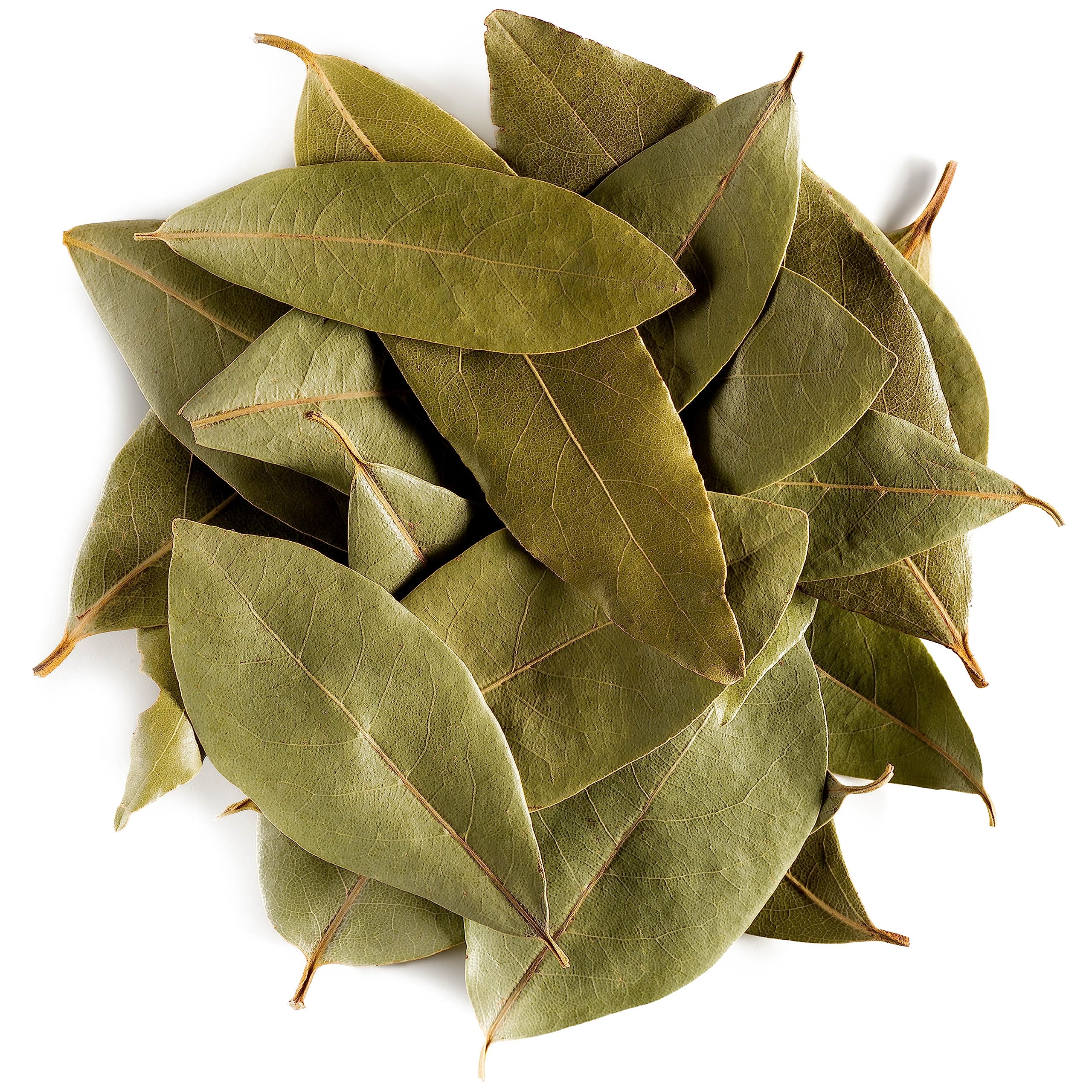 Bay Laurel | Dried Magical Herb | Manifestation, Success & Protection