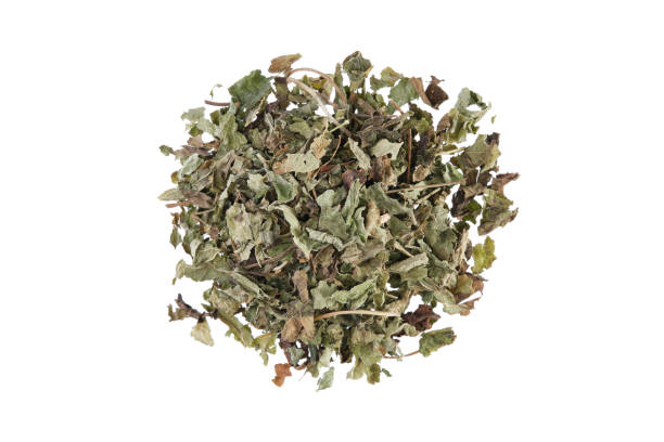 Lemon Balm | Dried Magical Herb | Healing, Love & Emotional Calm