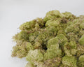 Reindeer Moss | Dried Magical Herb | Grounding & Earth Connection