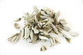 White Sage | Dried Magical Herb | Cleansing, Purification & Protection