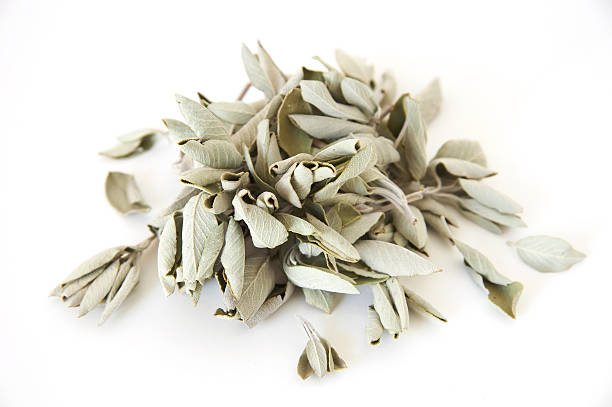 White Sage | Dried Magical Herb | Cleansing, Purification & Protection