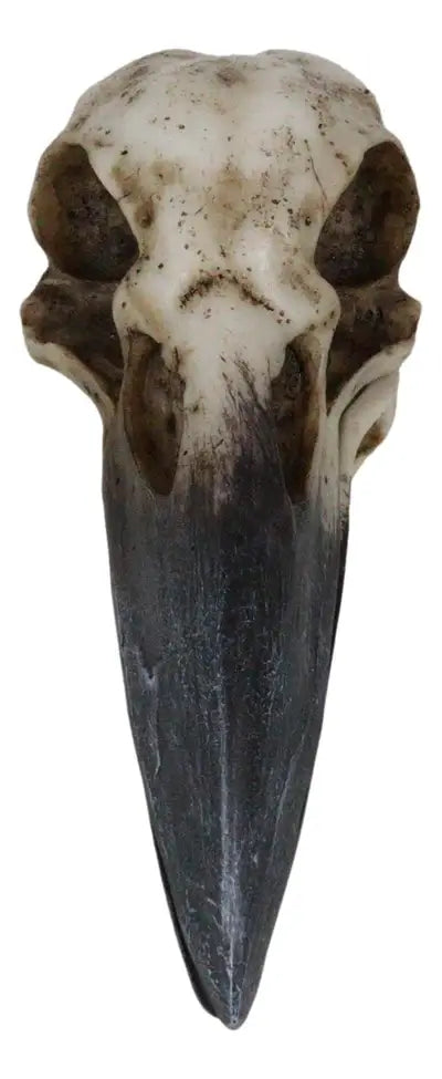 Raven Skull Box | Gothic Cold Cast Resin Box | Raven & Skull Keepsake