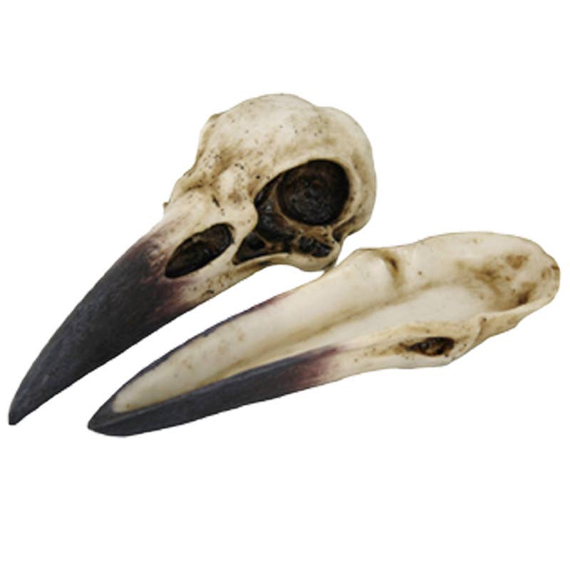 Raven Skull Box | Gothic Cold Cast Resin Box | Raven & Skull Keepsake